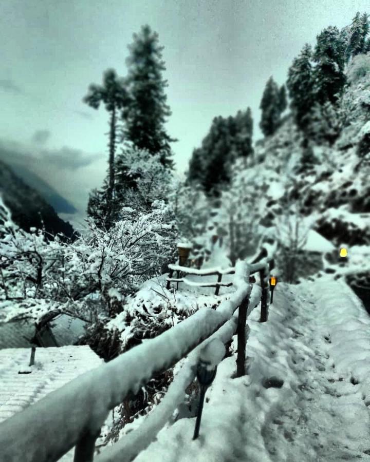 Parvatis Lap Luxury Hostel & Camps Kasol Exterior foto